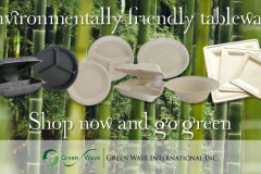 Green-Wave-Carousel-Image