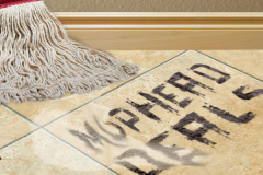 Mophead-Splash-Image-1